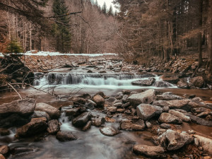 TIP NA VÝLET: Poniklý a Borový vodopád patří ke skrytým krásám Jeseníků. Mají tři a osm metrů