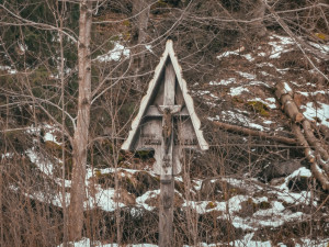 TIP NA VÝLET: Poniklý a Borový vodopád patří ke skrytým krásám Jeseníků. Mají tři a osm metrů