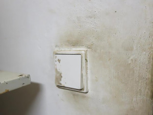 Znečištěné prostory či trus hlodavců. Inspekce zavřela bistro v centru Šumperku