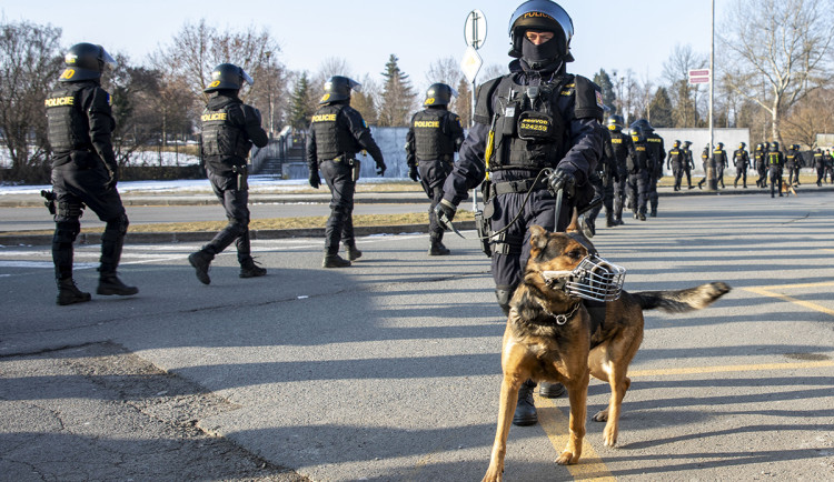 Dělobuchy a vyklizení přerovského sektoru. Na hokejovém derby v Prostějově zasahovala policie