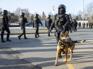 VIDEO: Dělobuchy a vyklizení přerovského sektoru. Na hokejovém derby v Prostějově zasahovala policie