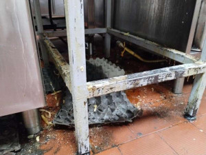 Mrtvé myši v kuchyni a stěny olezlé plísní. Inspektoři zavřeli motorest na dálnici u Brna