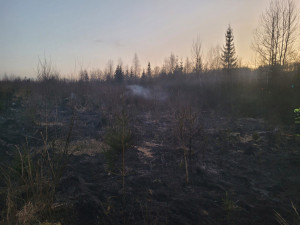 Policie pátrá po žháři. Na Bruntálsku a Šternbersku podpálil desítku míst v lesním terénu