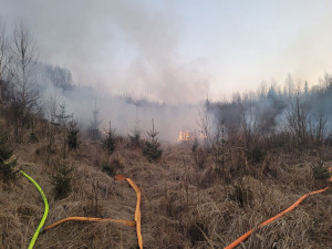 Policie pátrá po žháři. Na Bruntálsku a Šternbersku podpálil desítku míst v lesním terénu