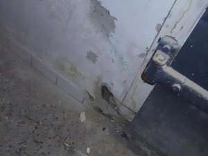 Plísně i myší trus. Inspekce zavřela kuchyni restaurace v Prostějově, během dne podnik prohřešky napravil