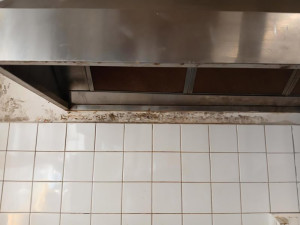 Plísně i myší trus. Inspekce zavřela kuchyni restaurace v Prostějově, během dne podnik prohřešky napravil