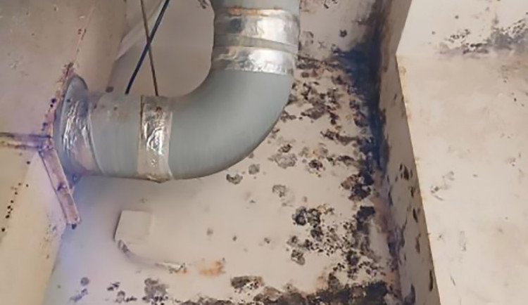 Inspekce zavřela kuchyni restaurace v Prostějově, během dne podnik prohřešky napravil