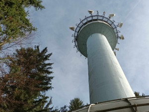 TIP NA VÝLET: Cesta na nejvyšší bod Drahanské vrchoviny. Nenáročná procházka vede krásnými lesy