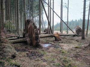 TIP NA VÝLET: Cesta na nejvyšší bod Drahanské vrchoviny. Nenáročná procházka vede krásnými lesy