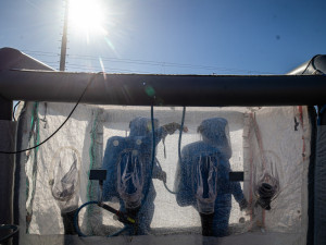 Práce v nebezpečné zóně: Správa železnic u Hustopečí rovná koleje, hasiči propařují vagony