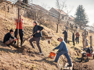 Slatinky na Prostějovsku mají nový sad. Vysadili ho studenti a tamní obyvatelé