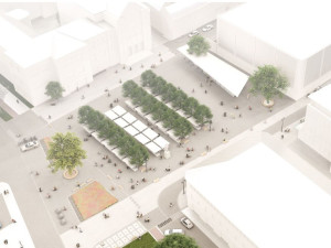 Masivní kácení v centru Prostějova kvůli přesunu tržnice. Lidé mohou podat námitky při veřejném projednání