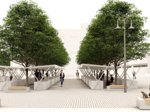 Masivní kácení v centru Prostějova kvůli přesunu tržnice. Lidé mohou podat námitky při veřejném projednání