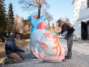 Olomouckou Pevnost poznání zdobí obří model srdce. Návštěvníci mohou sledovat tok krve nebo simulaci infarktu