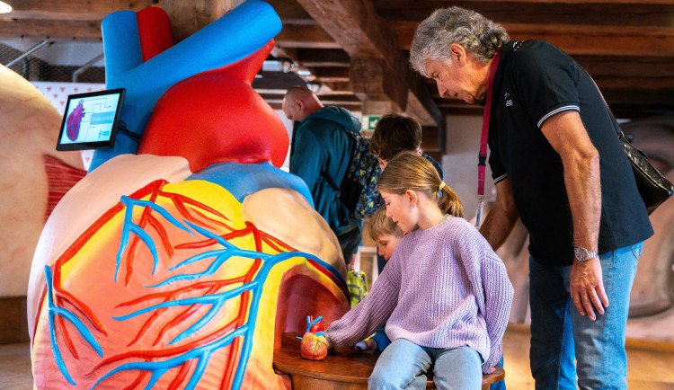 Olomouckou Pevnost poznání zdobí obří model srdce. Návštěvníci mohou sledovat tok krve nebo simulaci infarktu