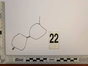 Brali šperky, parfémy i inteligentní hrnec. Kriminalisté dopadli dvojici, která kradla v domech na Moravě