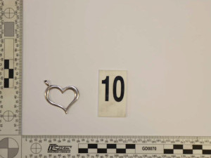 Brali šperky, parfémy i inteligentní hrnec. Kriminalisté dopadli dvojici, která kradla v domech na Moravě