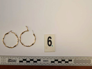 Brali šperky, parfémy i inteligentní hrnec. Kriminalisté dopadli dvojici, která kradla v domech na Moravě