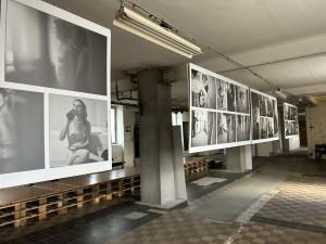 Krása žen vynikla v netradiční galerii. Speciální výstavu fotografií hostí bývalá továrna v Přerově