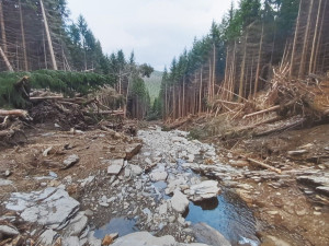 Síla deště. Z Keprníku před půl rokem sjela obří lavina bahna, kamenů a stromů v délce 900 metrů