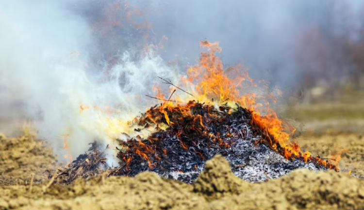 Snímek obrazovky 2025-03-16 114009