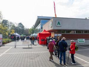 Paralelní květy. Působivou expozici jarní Flory Olomouc vytvoří věhlasný florista Bartolen