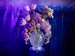 Vizuál centrální expozice jarní výstavy Flora Olomouc 2025