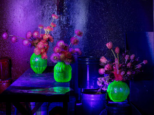 Vizuál centrální expozice jarní výstavy Flora Olomouc 2025