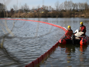 V Hustopečích dnes začne instalace osmimetrových stěn, mají zabránit kontaminaci vody. Ryby jsou zatím v pořádku