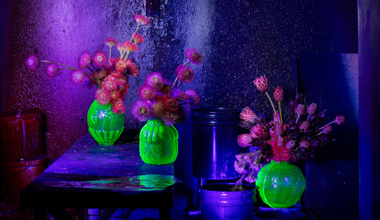 Vizuál centrální expozice jarní výstavy Flora Olomouc 2025