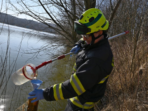 Koncentrace benzenu dramaticky vzrostly. Následky havárie vlaku na Hranicku se projevily v rybníku