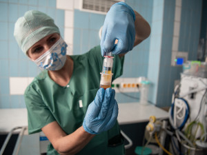 VIDEO: Vlastní chrupavka a plazma zhojí problém. Lékaři FN Olomouc využívají inovativní metodu