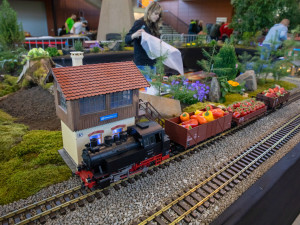FOTOGALERIE: Vláčky v pavilonu A. Výstava For Model změnila uspořádání, o víkendu se čeká velký zájem