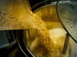 Je libo růžové pivo? Uvařily ho studentky olomoucké univerzity, ochutnávka bude v polovině dubna