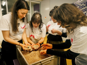 Je libo růžové pivo? Uvařily ho studentky olomoucké univerzity, ochutnávka bude v polovině dubna