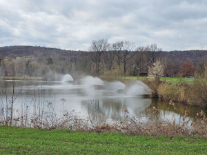 Je to pocit zmaru, říká chatař od hustopečského jezera zamořeného benzenem