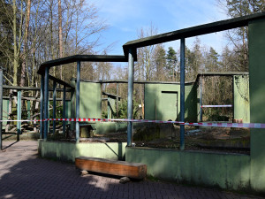 Lemury čeká stěhování. V Zoo Olomouc pro ně připravují příhodnější výběh