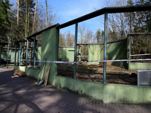 Lemury čeká stěhování. V Zoo Olomouc pro ně připravují příhodnější výběh