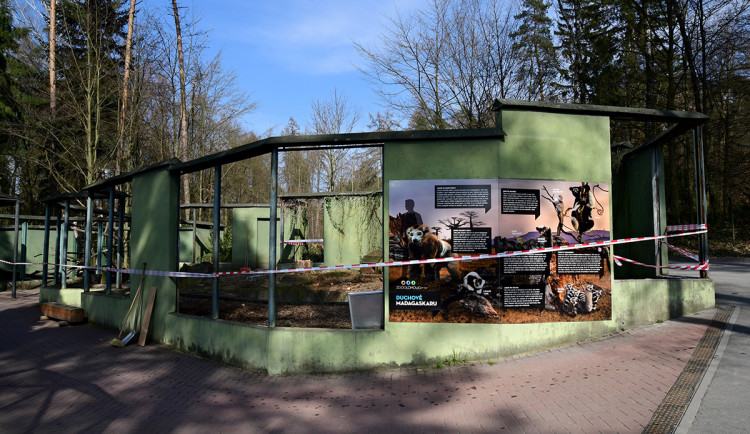 Bývalý pavilon pro malajské medvědy prochází úpravou, domov zde budou mít lemuři