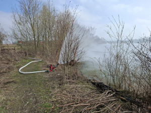 Šéf krajské komise životního prostředí z ANO nechce jednat o benzenu. V Hustopečích se už otrávily první ryby