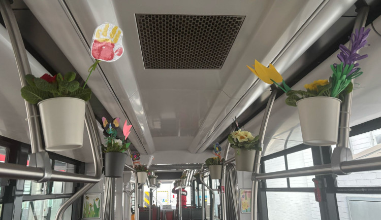 Ulice jihomoravské metropole brázdí jarní šalina. Zdobí ji desítky živých květin a dětské obrázky