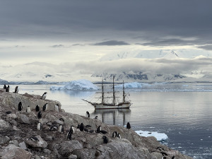 Neskutečné scenérie i překonávání strachu. Kapitán Ololodí Šimon Pelikán si splnil sen o plavbě na Antarktidu