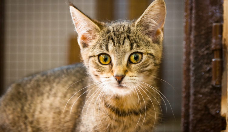 15371898012178-2-sni-mek-obrazovky-2018-09-17-v-130315