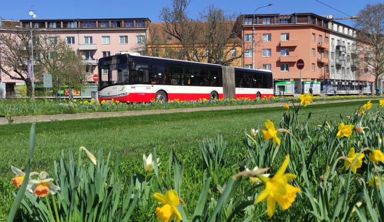 Dopravní podnik města Brna zahajuje nový výzkum. Zaměří se na prevenci nehodovosti