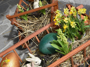 Speciální program i nápor návštěvníků. Velikonoce v Zoo Olomouc lákají tisíce lidí