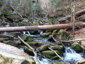 TIP NA VÝLET: Divoké Rešovské vodopády. Vycházka nabídne také malebné údolí a krásné výhledy