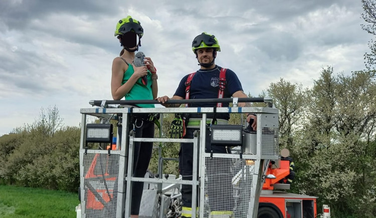 Papoušek Žako se dostal do maléru v korunách stromů, museli pro něj hasiči