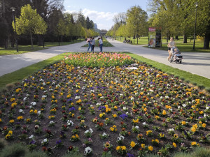 GLOSA: Tristní stav záhonů, ale expozice za miliony. To je další Flora Olomouc