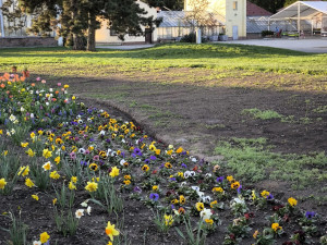 GLOSA: Tristní stav záhonů, ale expozice za miliony. To je další Flora Olomouc