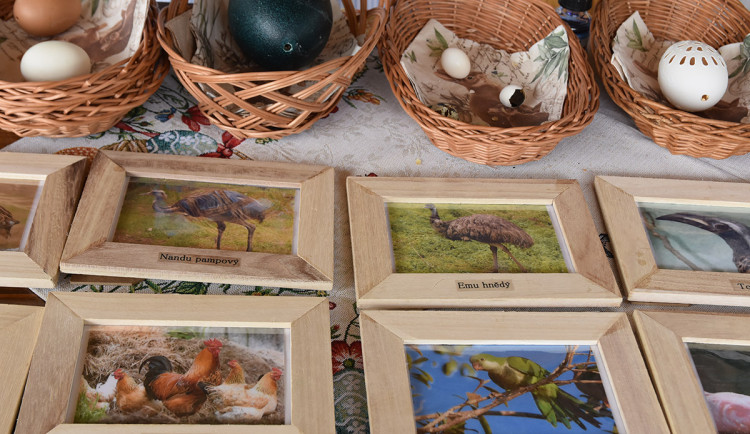 Velikonoční program v Zoo Olomouc - ilustrační foto